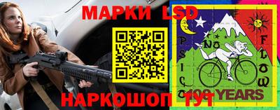 apvp Гатчина