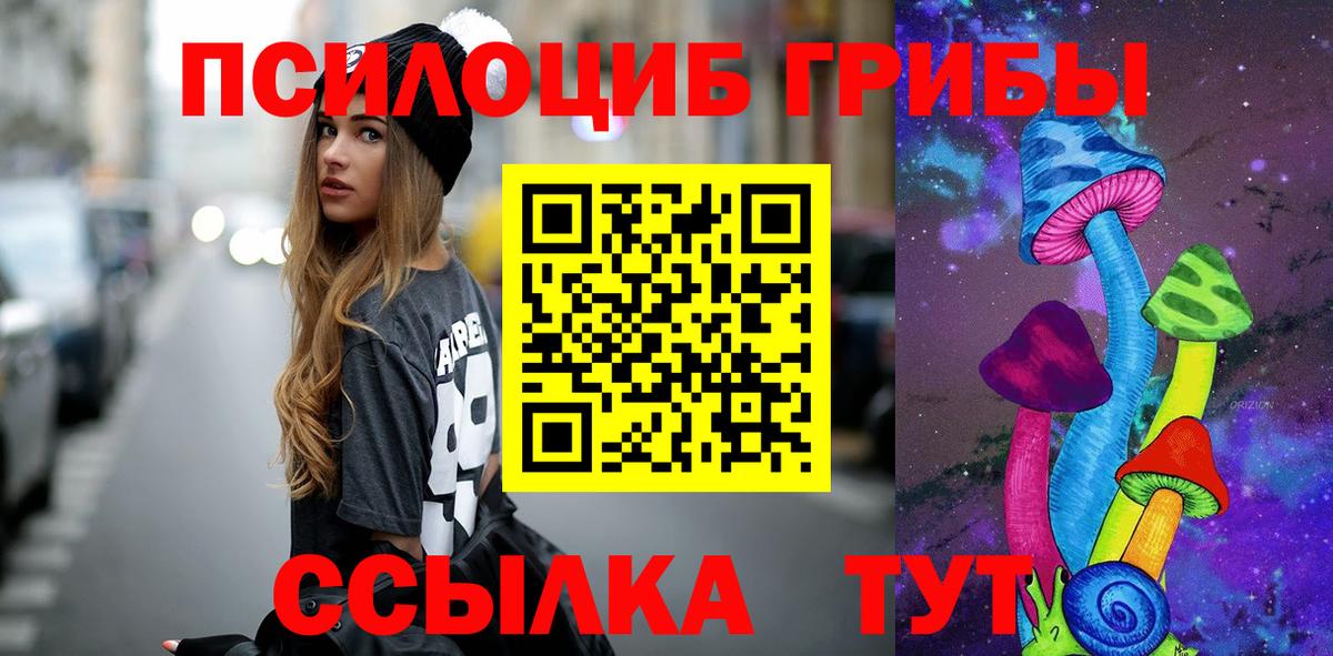Чапаевск  Псилоцибиновые грибы мицелий  Вход с VPN 