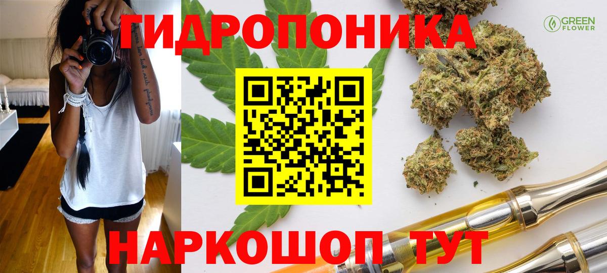 Конопля ГИДРОПОН Чапаевск